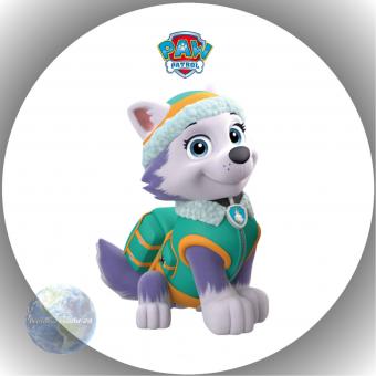 Tortenaufleger Fondant Paw Patrol 65 